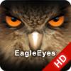 EagleEyes – приложение для мобильного видеонаблюдения