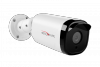 PNL-IP2-B4P PolyVision Видеокамера IP, цилиндр 2Мп,улич,ИК,PoE